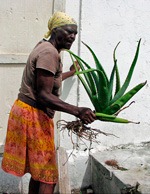 Edna on San Salvador Island with aloe plant